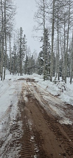 Driveway clearing