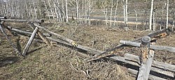BuckRail fence building and repair